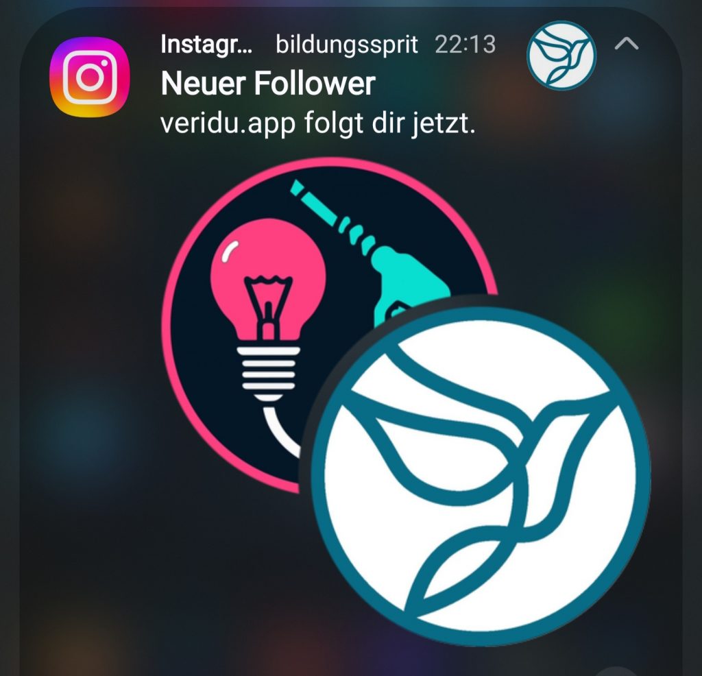 Ein Screenshot einer Smartphone-Benachrichtigung von Instagram zeigt die Meldung „Neuer Follower: veridu.app folgt dir jetzt“ für den Account „bildungssprit“. Darunter sind zwei kreisförmige Logos überlappend dargestellt: Das hintere Logo zeigt eine pinke Glühbirne und eine türkisfarbene Zapfsäule auf dunklem Grund, das vordere Logo zeigt eine stilisierte weiße Taube in Form einer geschwungenen Linie auf weißem Hintergrund mit blauem Rand.